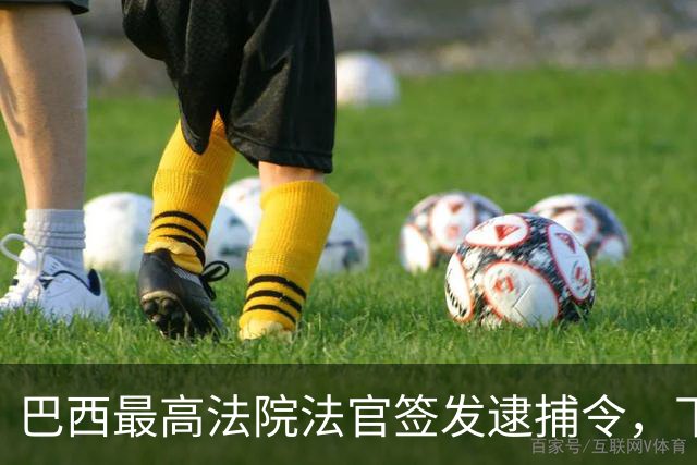 巴西最高法院法官签发逮捕令，下令对爱德华多·博索纳罗执行刑罚